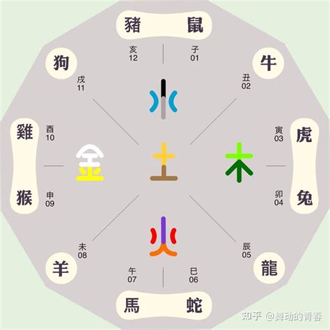 龍 五行|【生肖龍五行屬啥】生肖龍五行屬什麼 